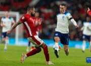 开云平台-包含爱尔兰队力挫劲敌，稳固欧预赛领先地位的词条