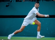 开云体育官网-ATP总决赛逆转戴维斯杯，德约科维奇统治全场