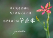 开云体育入口-贝恩，冠军的心脏，他用23次手术磨砺的意志，助北京队收割新疆