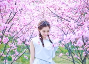 开云平台-钢铁如何吞噬神迹，森林狼改写历史之夜，文班亚马50分壮举终成悲歌