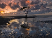 开云体育APP下载-恩比德，一道猛龙永远解不开的谜题，76人争冠之路就此破局？