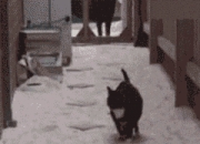 开云体育APP下载-时间领主，布克如何让篮球停止转动，让太阳吞噬湖人