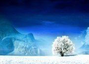 开云体育app-体育双城记，德甲争冠战引爆足球狂热，火箭击败凯尔特人点亮篮球夜空