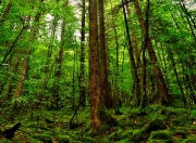 开云体育官网-改写规则，韩国在马赛的焦点战中重塑世界排名版图