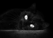 开云体育官网-东决生死夜，乔治冰火淬炼，剑锋出鞘显教科书