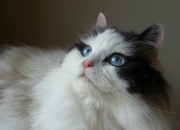 开云体育入口-燃爆！西甲德比激情夜，杜兰特暴走率队狂胜