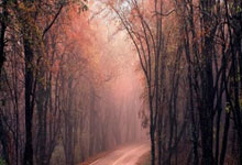 开云APP-当红蓝血脉喷张，中超赛场迎来世纪之战！巴萨利物浦天河对决全记录