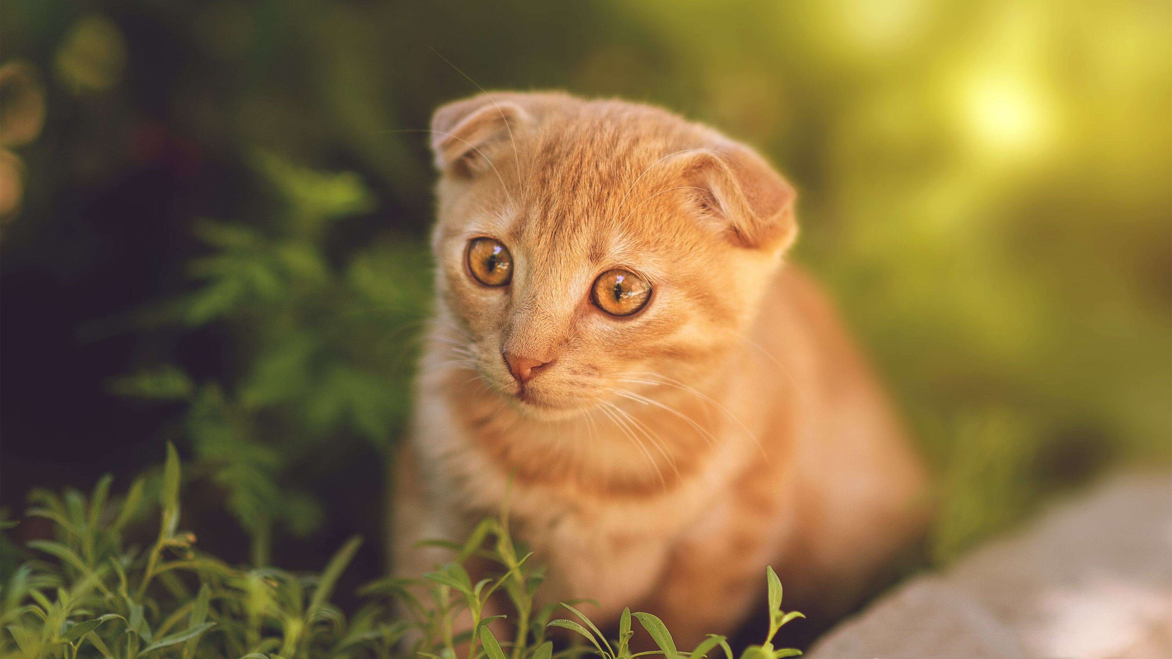 铁血对撞艺术,罗德里一击提前终结的,不仅是悬念