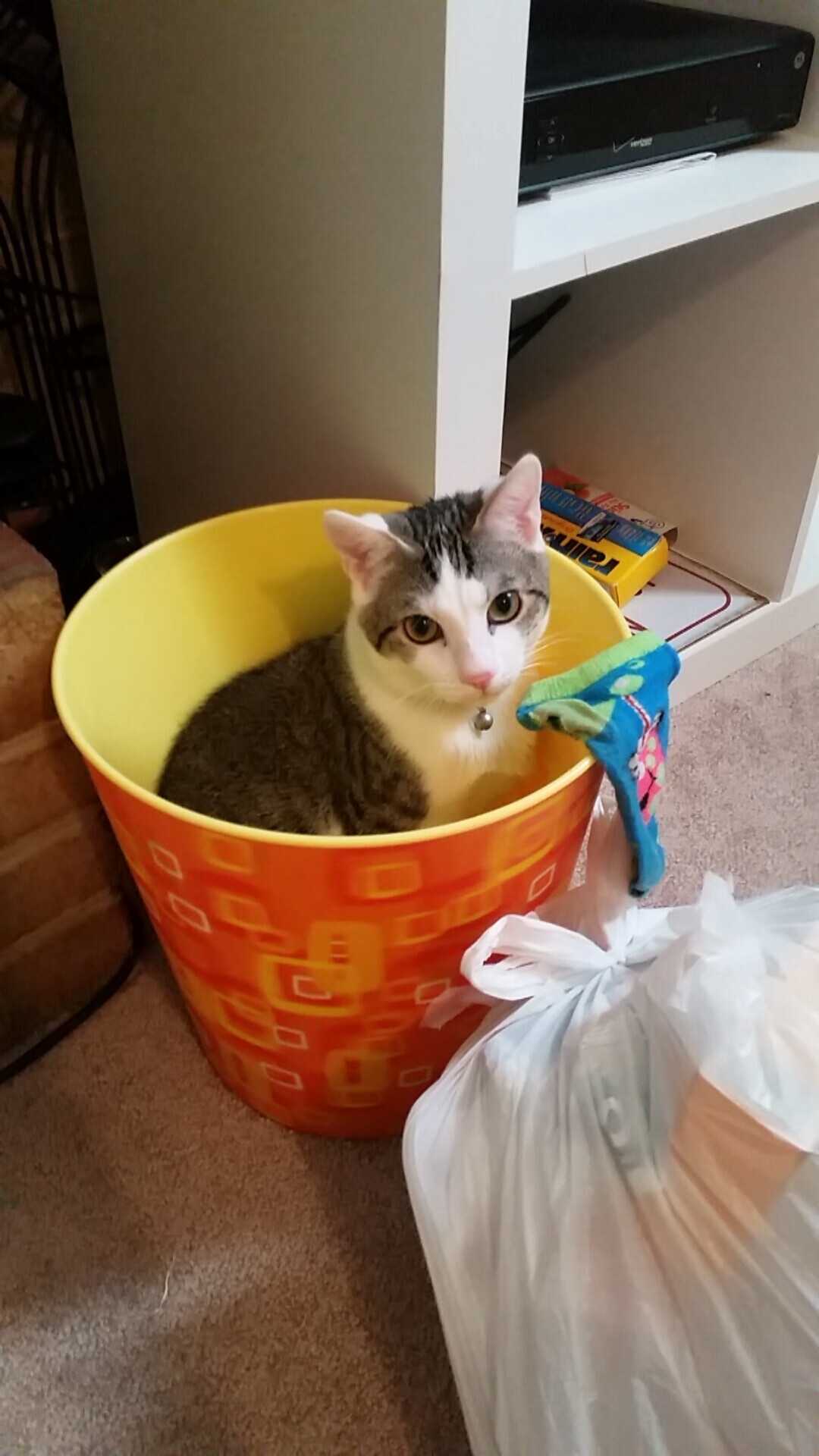 拜仁技术流淘汰尼日利亚黑马,马丁内利压制级表现定义新王当立