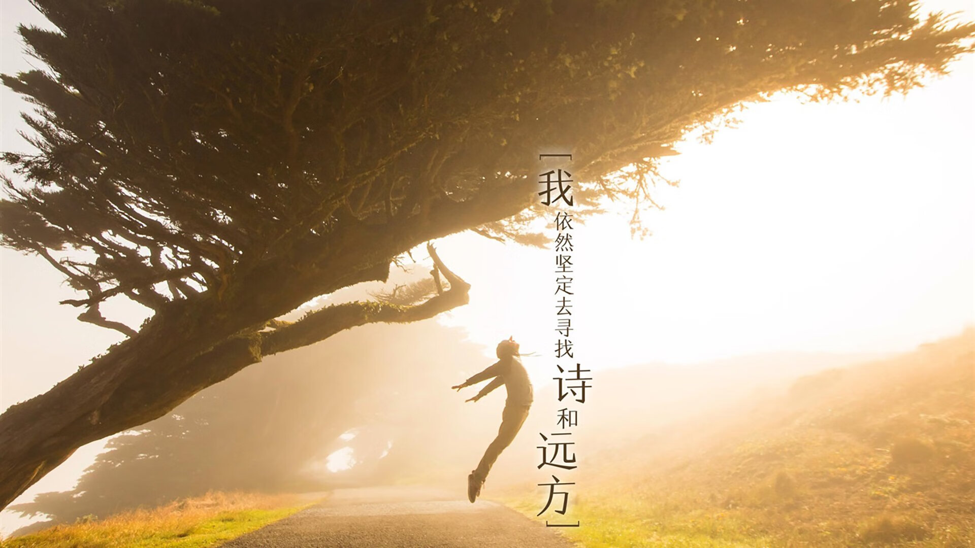 冰与火的交响,从门迪的抢七神迹到加拿大足球的爆冷美学