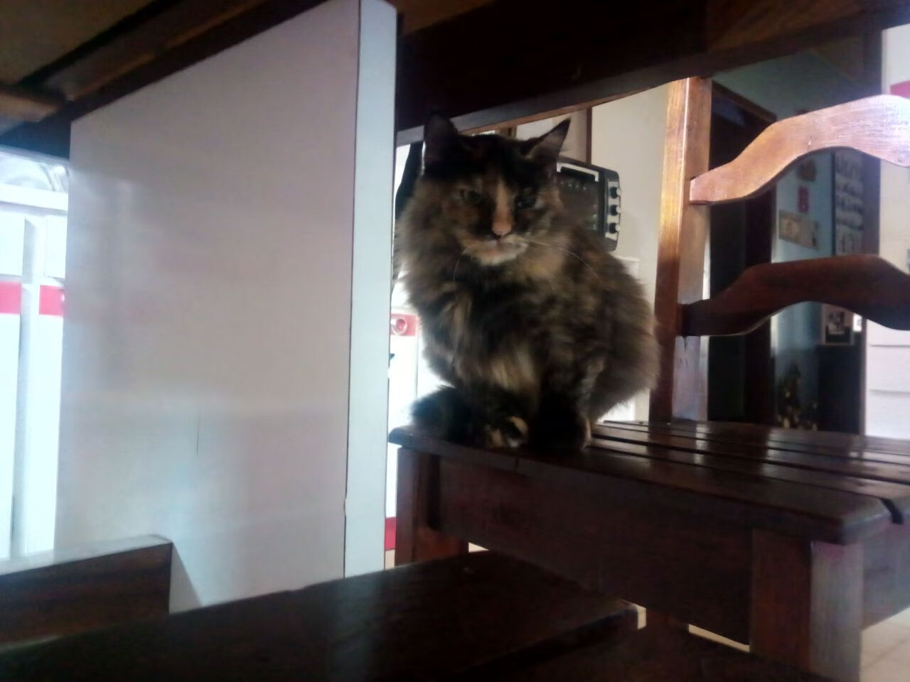 沙漠终章，斯通斯一瞬封神，暗夜里的唯一王座