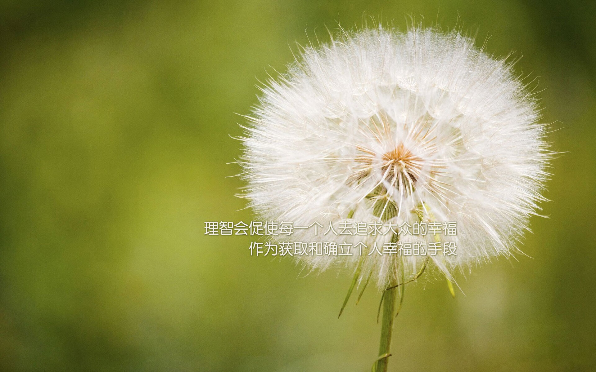 沙漠风暴横扫东欧，2026世界杯C组，沙特以铁血与速度颠覆足球秩序