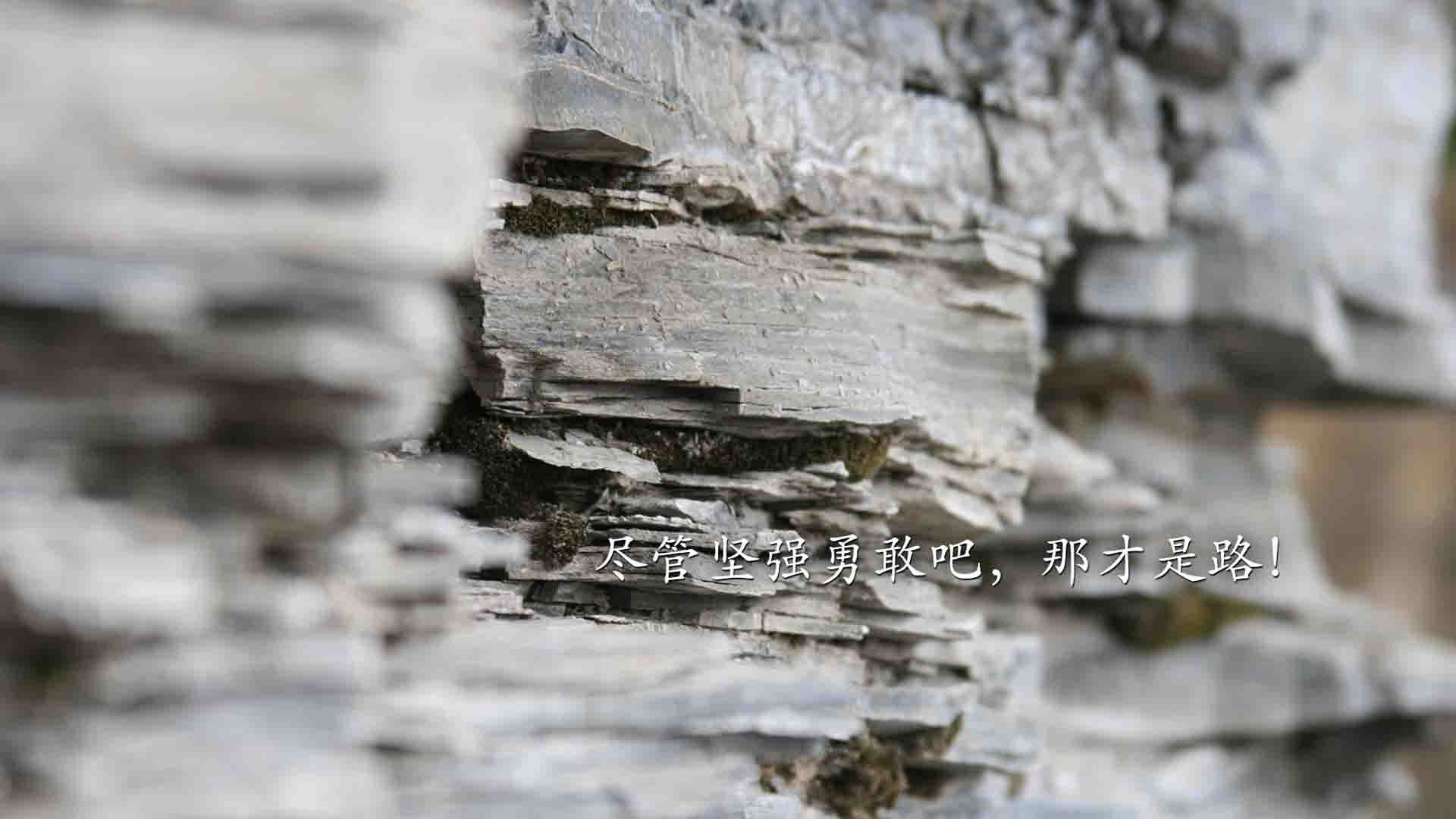 历史轮回,2026世界杯焦点战,匈牙利闪电战横扫伊拉克,姆巴佩书写新传奇